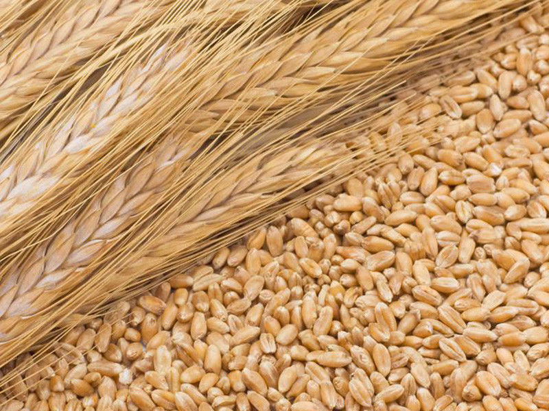 糧食重金屬檢測儀可以檢測糧食制品嗎