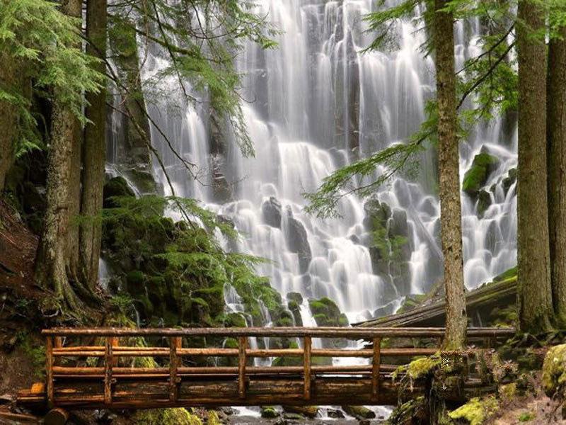 負(fù)氧離子濃度是空氣質(zhì)量評(píng)價(jià)的指標(biāo)