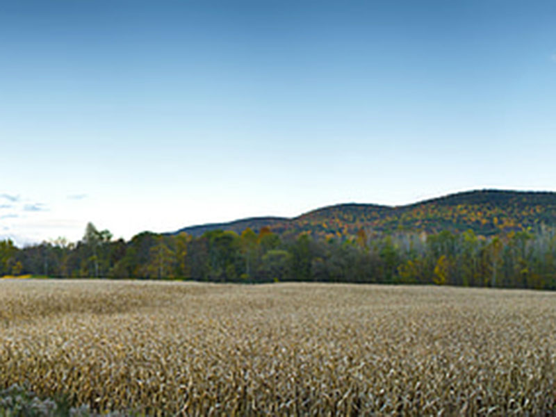測定植物的營養(yǎng)，為農(nóng)戶取得更大效益