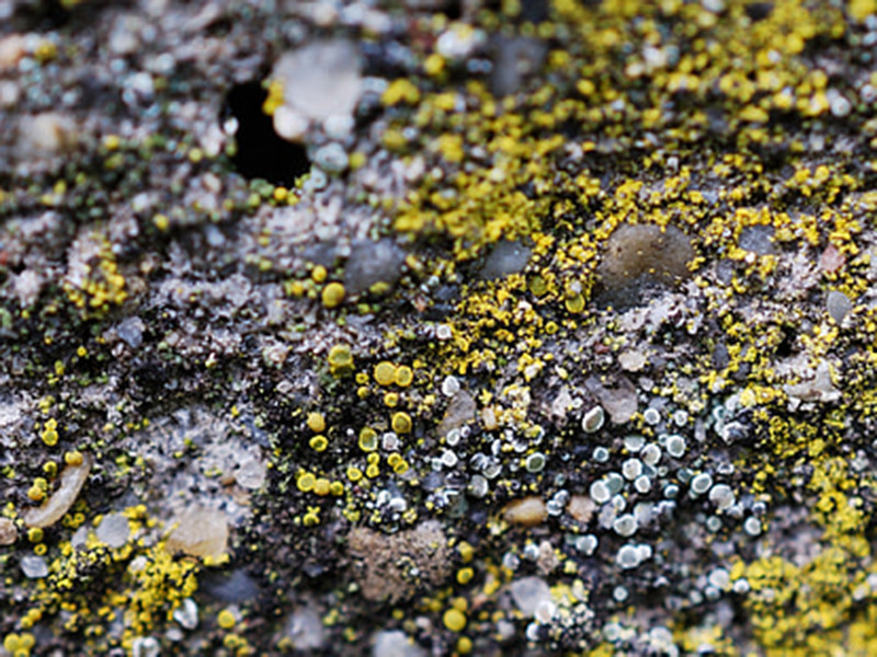 手持式土壤重金屬檢測(cè)儀價(jià)格 手持式土壤重金屬檢測(cè)儀價(jià)格