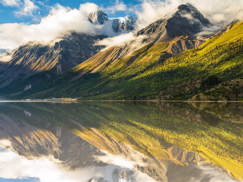 生物毒性檢測儀價(jià)格 生物毒性檢測儀價(jià)格