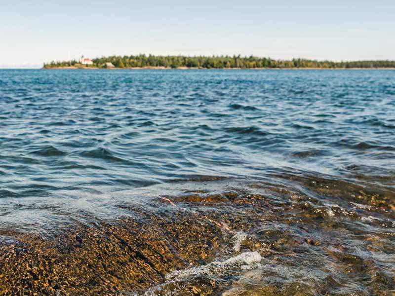 BOD超標(biāo)對水質(zhì)有什么影響