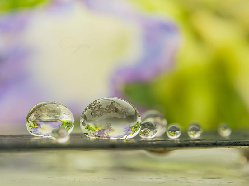 水質(zhì)測(cè)定儀主要功能