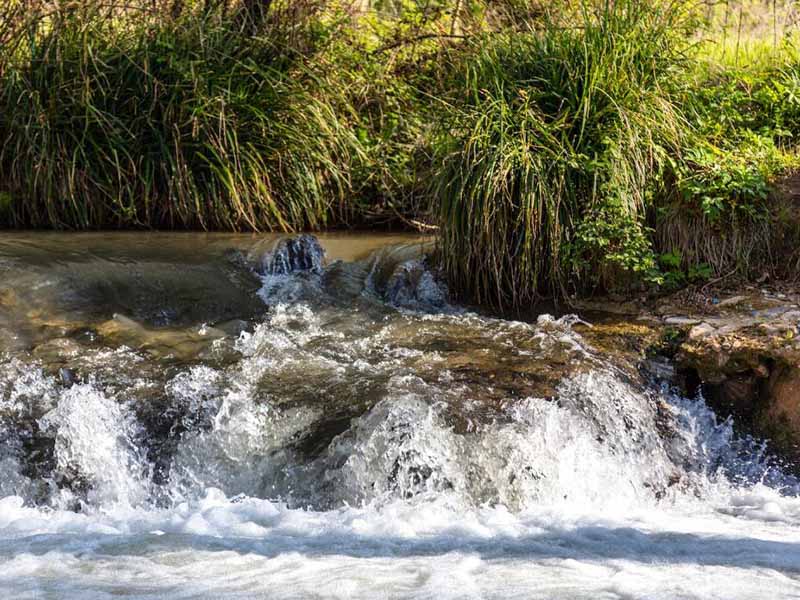 揮發(fā)酚在線自動分析儀原理與應用