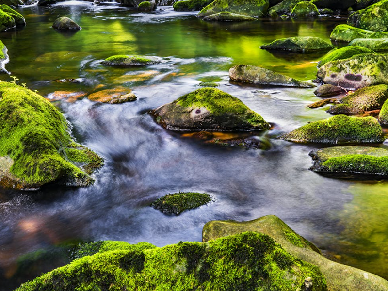 氨氮測(cè)定儀操作步驟