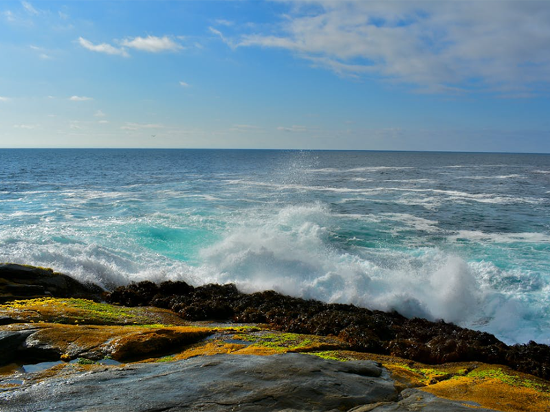 pH計(jì)的校準(zhǔn)步驟及常見(jiàn)問(wèn)題（pH計(jì)使用注意事項(xiàng)）