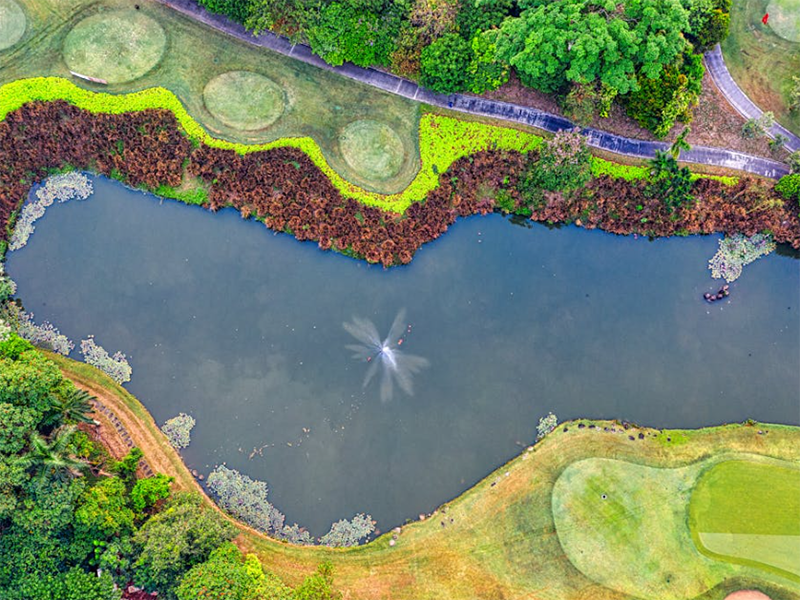 水質(zhì)氰化物測定儀使用條件要求（水質(zhì)氰化物測定儀原理）