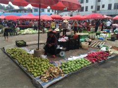 食品安全檢測儀能檢測什么食品？