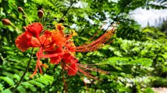 土壤有機(jī)質(zhì)檢測(cè)儀有什么作用？