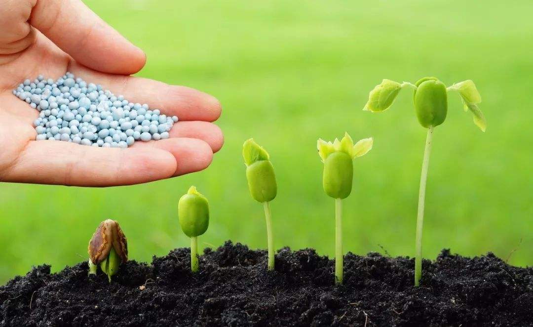 土壤微量元素檢測(cè)器 土壤微量元素檢測(cè)器