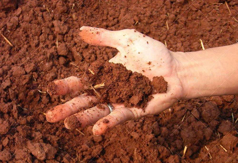 土壤墑情監(jiān)測(cè)儀 土壤墑情監(jiān)測(cè)儀