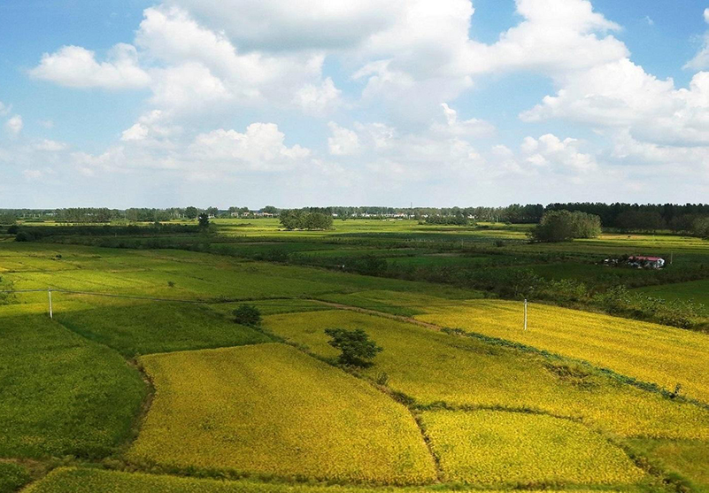 土壤水分測(cè)定儀