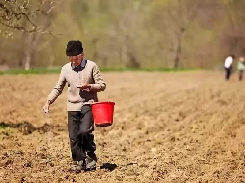 土壤養(yǎng)分檢測(cè)儀好不好用 9.jpg