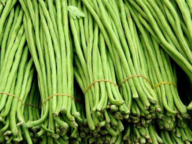 豆角中含有滅蠅胺？怎么解決