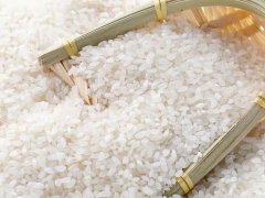 大米重金屬鎘檢測儀，可實(shí)現(xiàn)重金屬的快速定量檢測分析