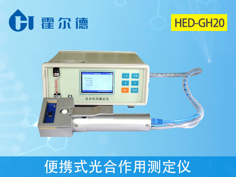 光合作用對(duì)植物生長(zhǎng)有什么影響